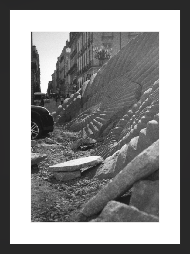 Main image The Fossil Pavement