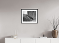 50,6 x 40 cm, Framed Black and White Photo Paper Baryté Roses on the Casemate