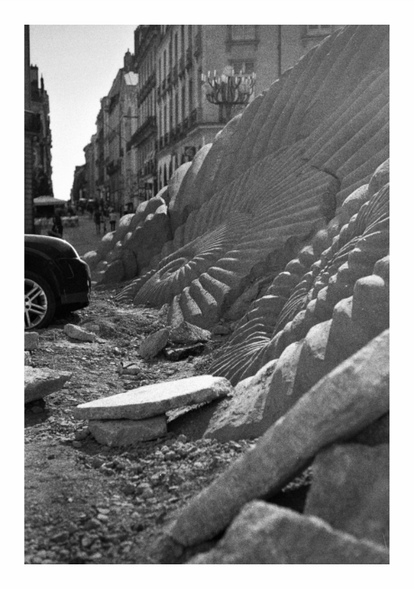 Carved stone ammonites running away down a Nantes street at pavement level, buildings closing in on both sides, black and white