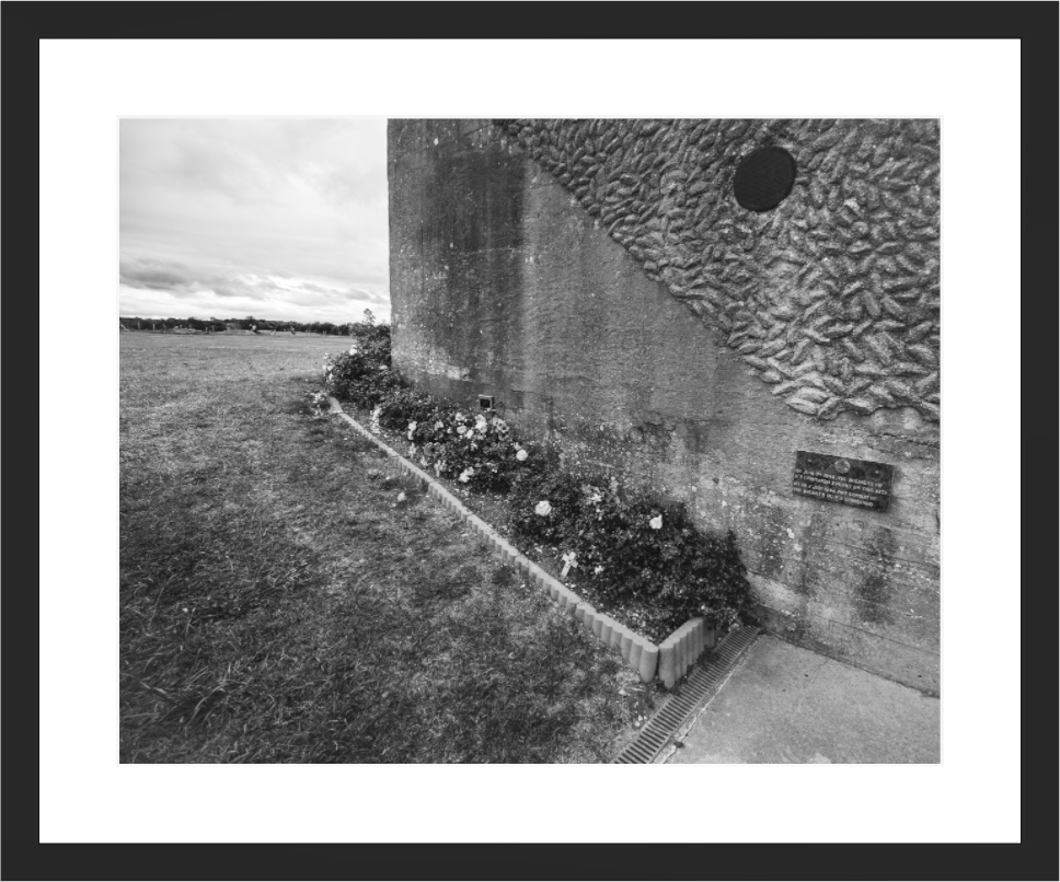 Main image Roses on the Casemate