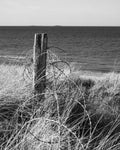 Rusted barbed wire coiled on a weathered post in dune grass above Utah Beach with the Channel beyond, Normandy
