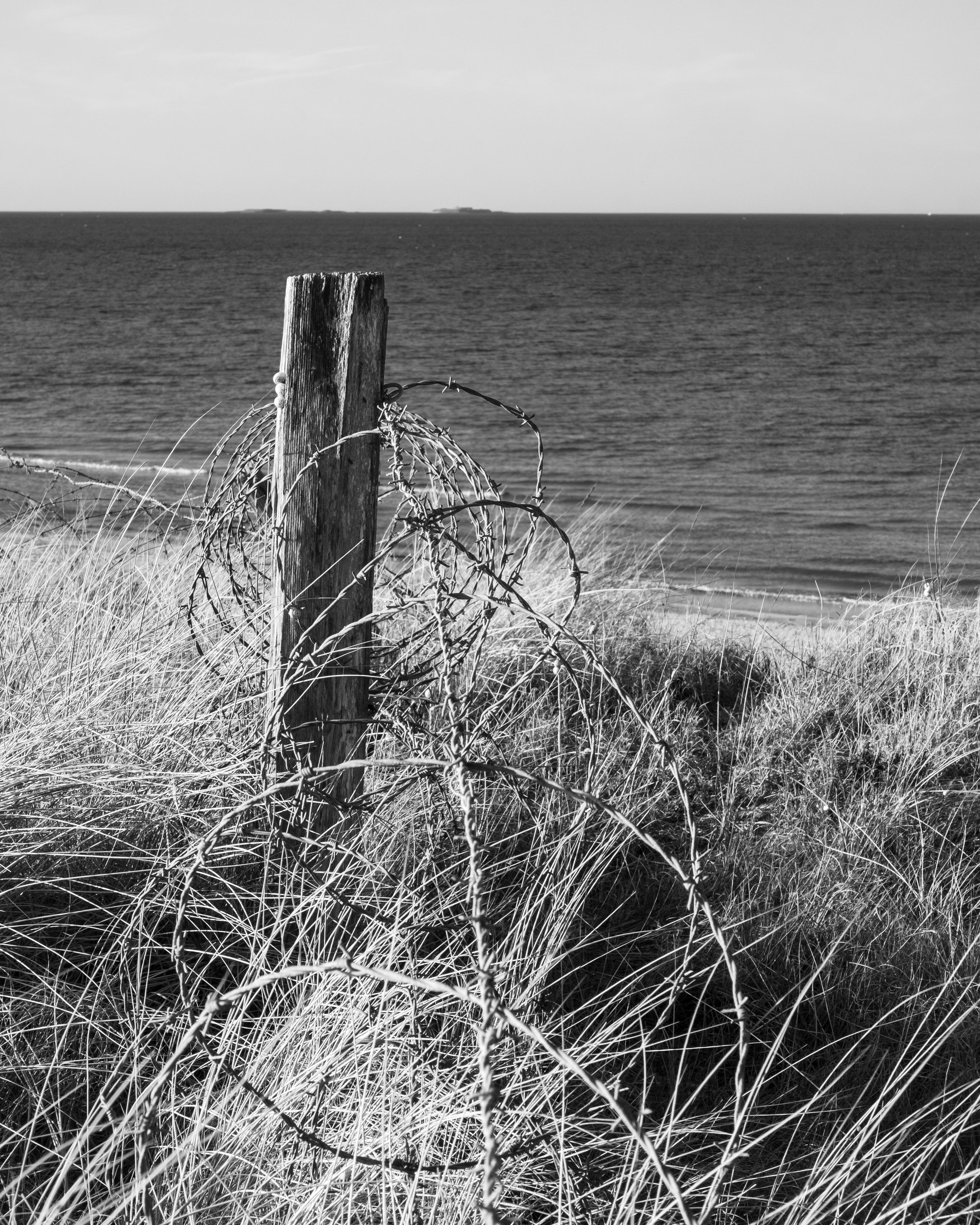 Rusted barbed wire coiled on a weathered post in dune grass above Utah Beach with the Channel beyond, Normandy