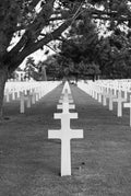 A white marble cross in the foreground with rows of graves receding behind it under a tree, Normandy American Cemetery, Colleville-sur-Mer, black and white