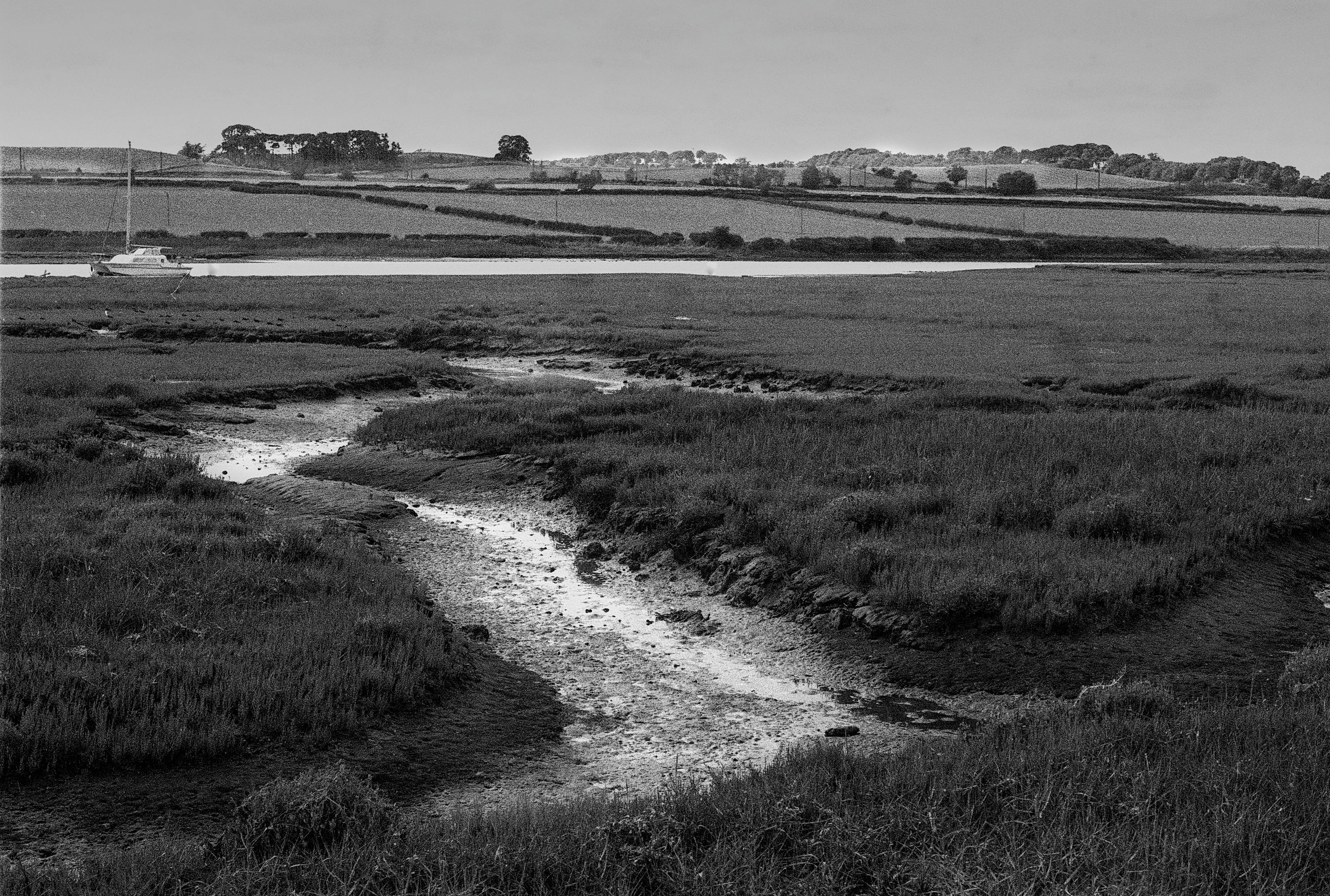 A tidal creek cut into the sand flats of the Aln estuary at Alnmouth at low water, black and white