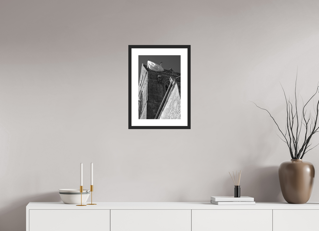 30 x 45 cm, Framed Photo Black and White Baryté The Canopy