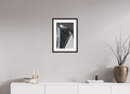 30 x 45 cm, Framed Photo Black and White Baryté The Canopy
