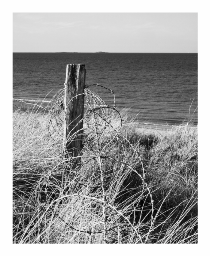 Rusted barbed wire coiled on a weathered post in dune grass above Utah Beach with the Channel beyond, Normandy